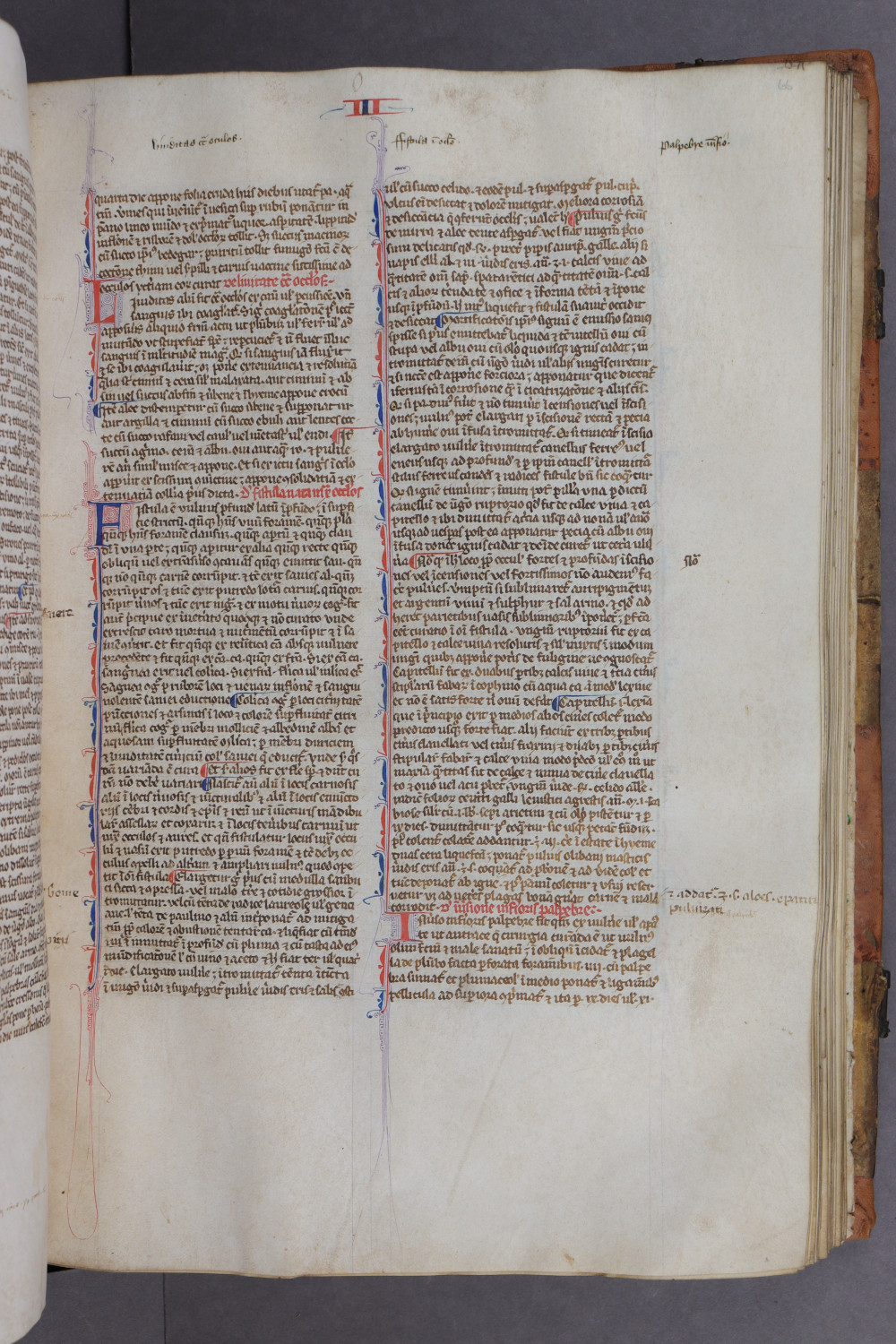 Folio 66 recto